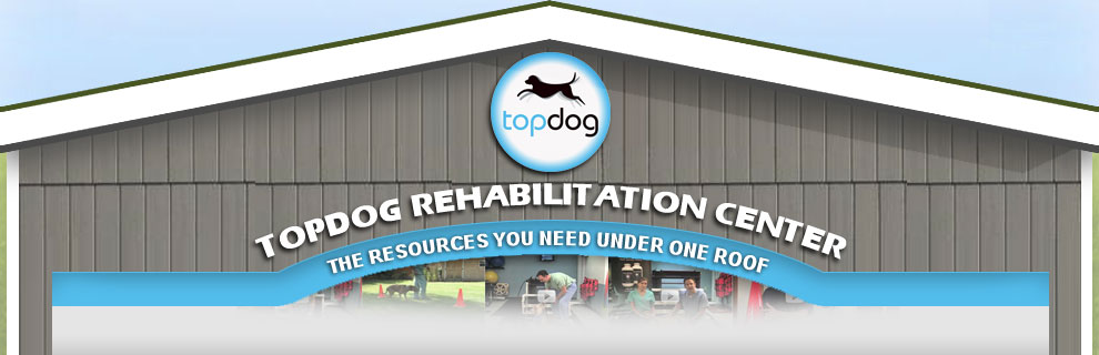 Hycodan Addiction Rehab FacilitiesPayne OH